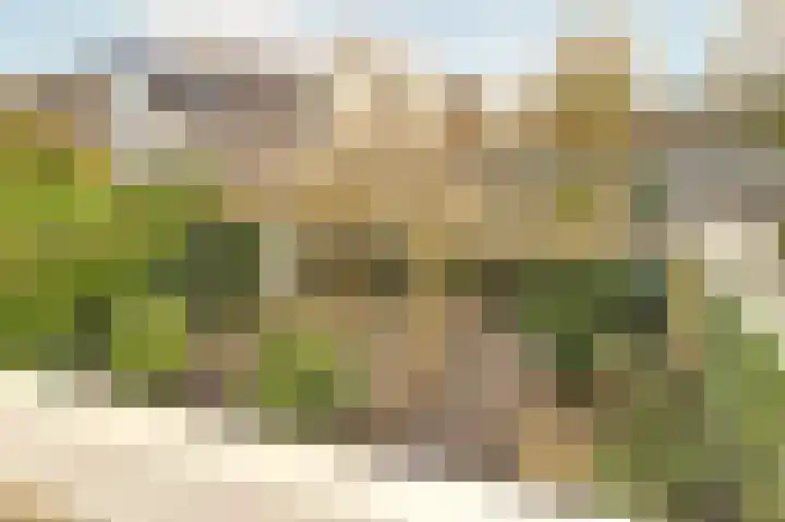 Ravelstraat 1 Drunen thumbnail 27