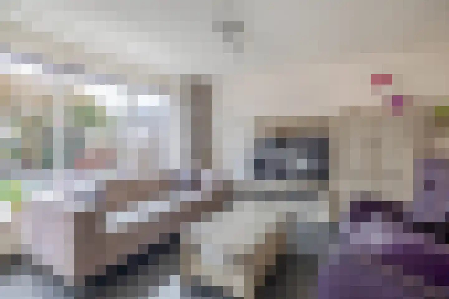Ravelstraat 10 Capelle aan den IJssel thumbnail 10