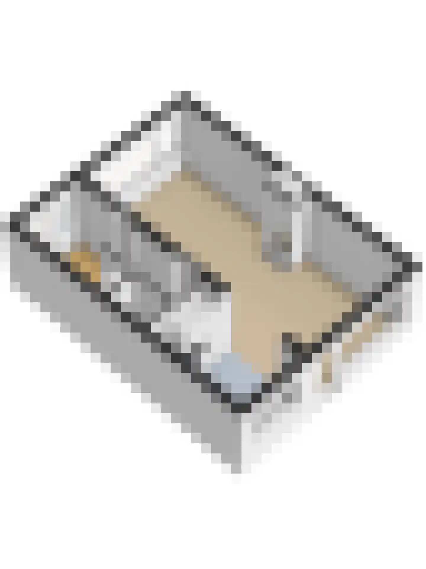 Ravelstraat 11 Ridderkerk thumbnail 42