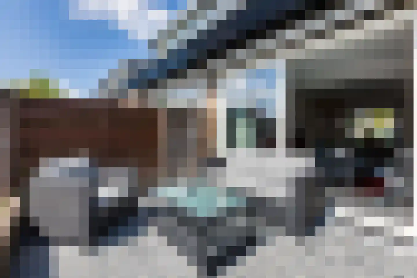 Ravelstraat 132 Bergen op Zoom thumbnail 27