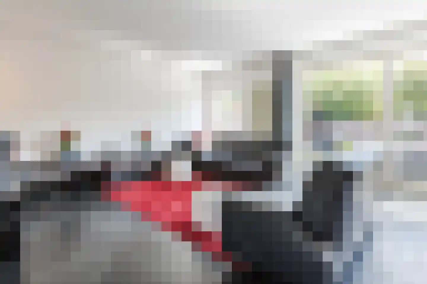 Ravelstraat 132 Bergen op Zoom thumbnail 5