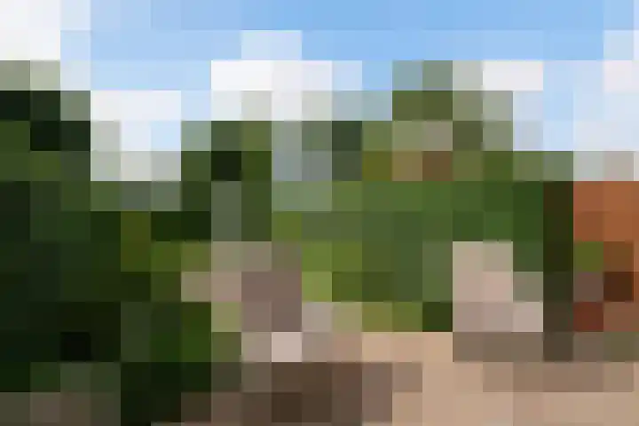 Ravelstraat 14 Rhoon thumbnail 23