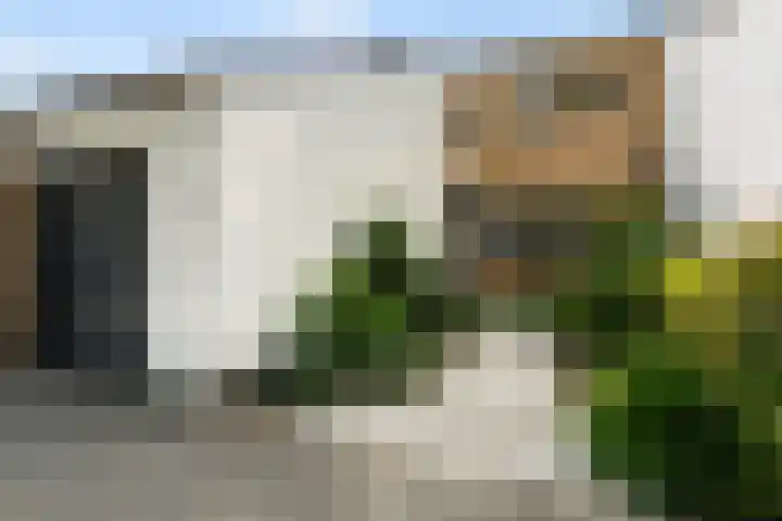 Ravelstraat 14 Rhoon thumbnail 25