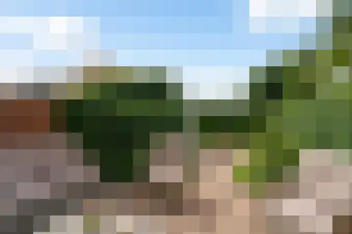 Ravelstraat 14 Rhoon thumbnail 4