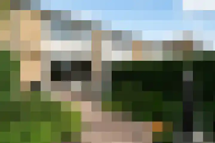 Ravelstraat 14 Rhoon thumbnail 5
