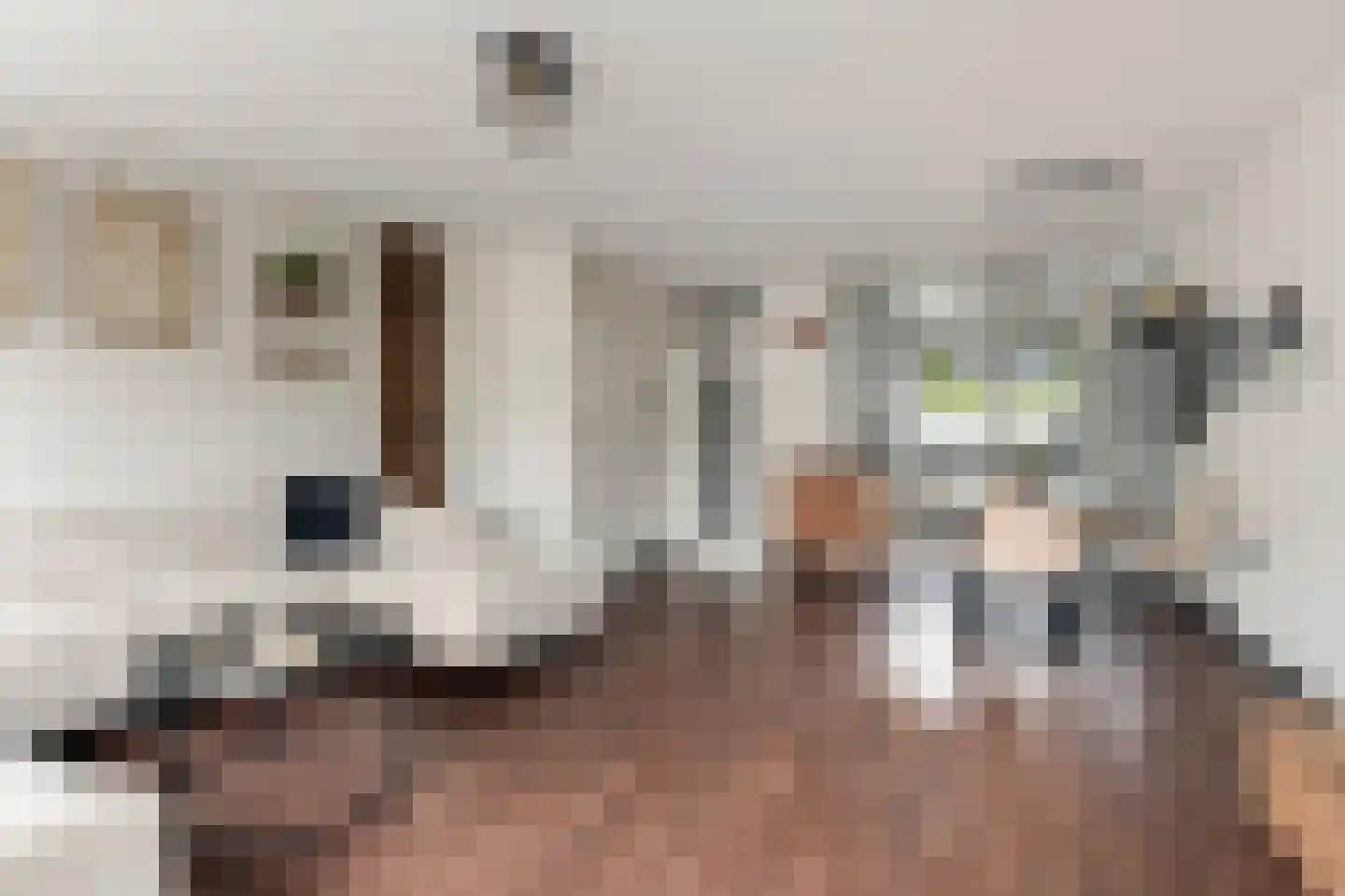 Ravelstraat 17 Capelle aan den IJssel thumbnail 15