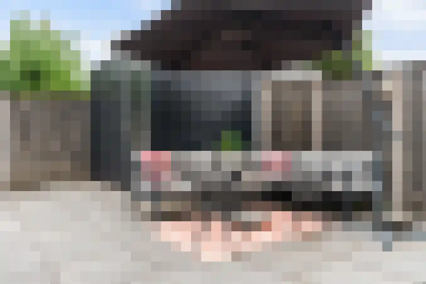 Ravelstraat 17 Capelle aan den IJssel thumbnail 23