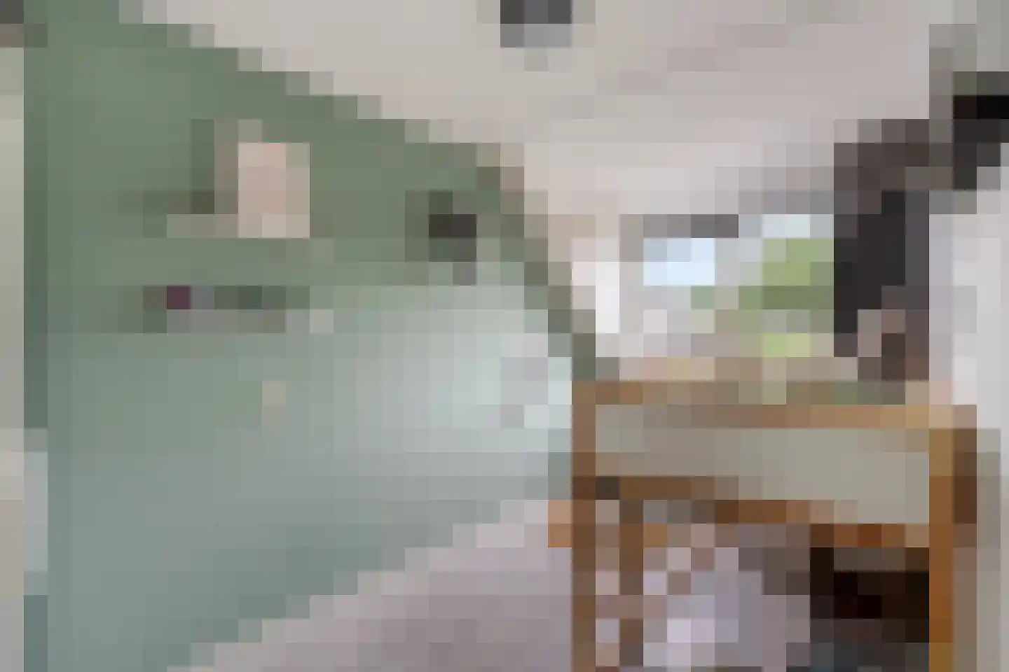 Ravelstraat 17 Capelle aan den IJssel thumbnail 39