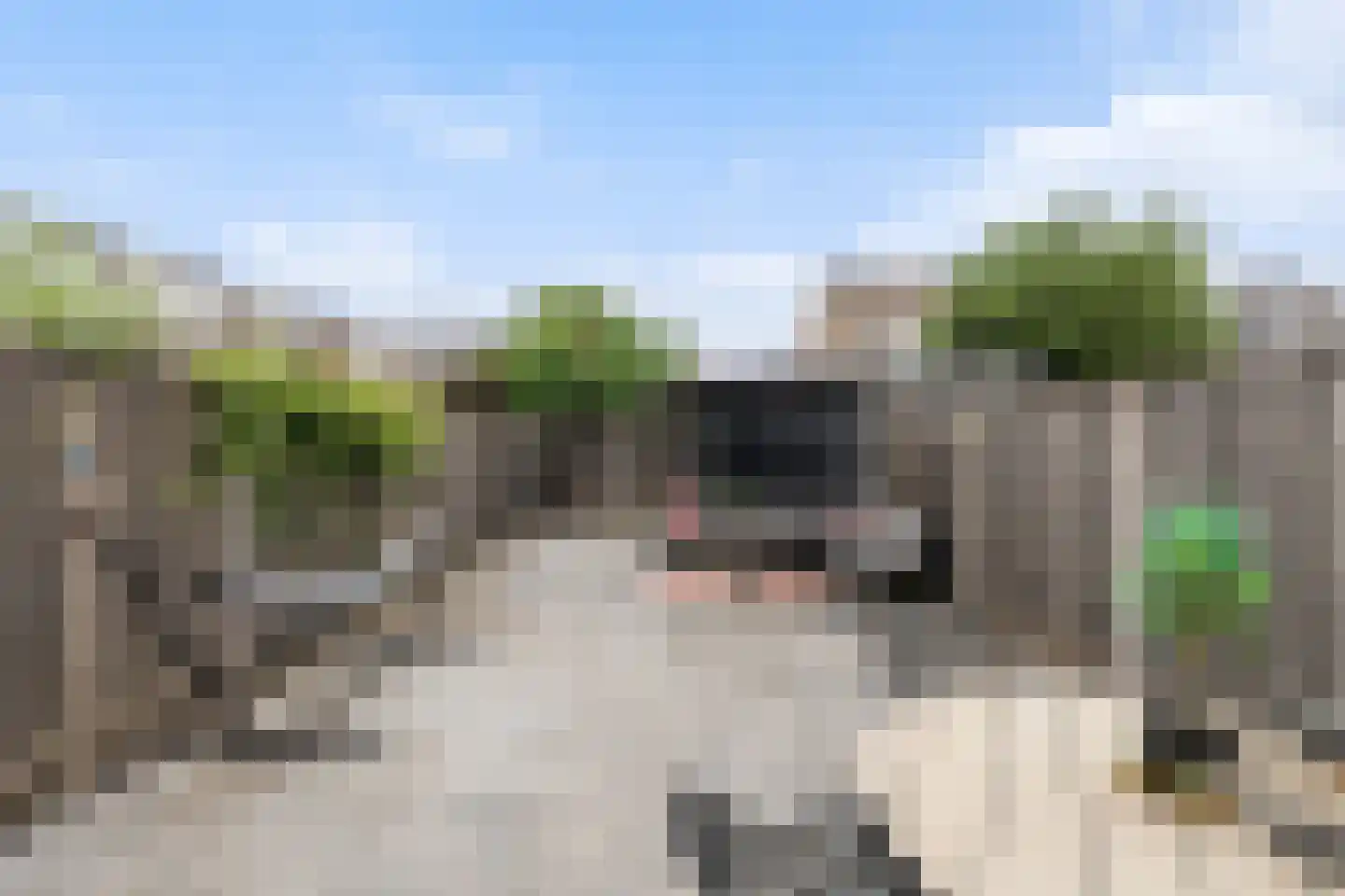 Ravelstraat 17 Capelle aan den IJssel thumbnail 4