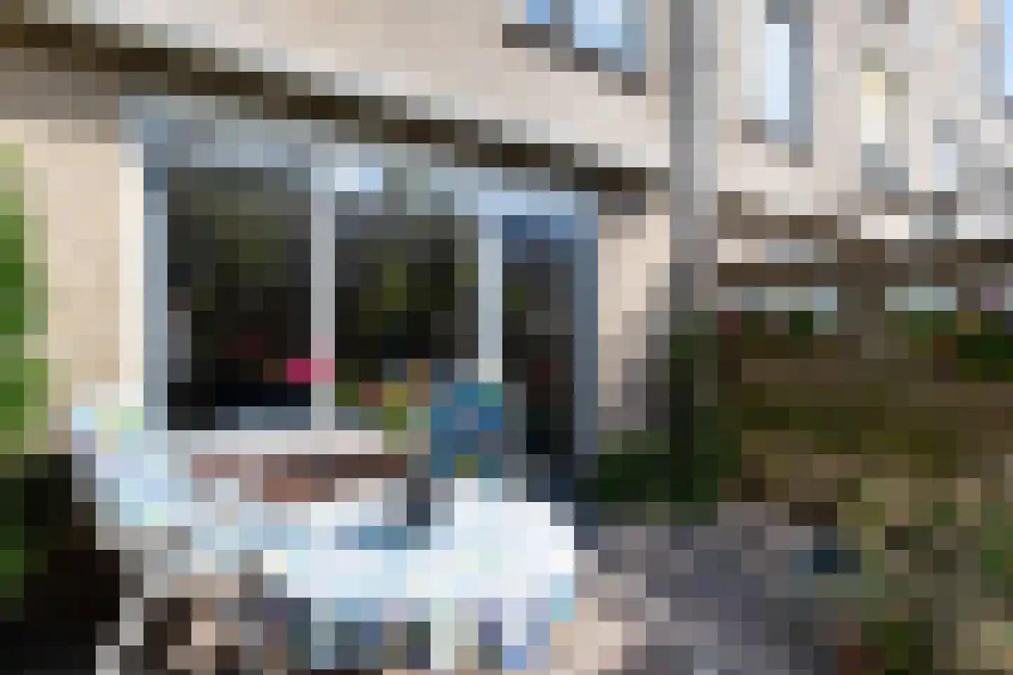 Ravelstraat 18 Gouda thumbnail 44
