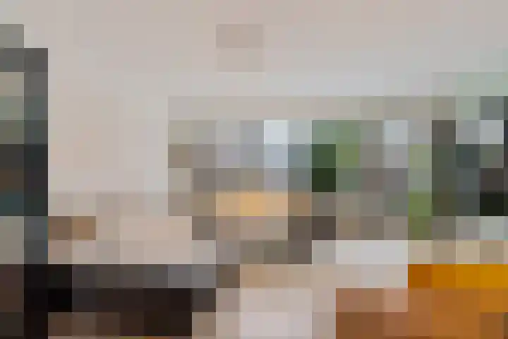 Ravelstraat 19 Capelle aan den IJssel thumbnail 11