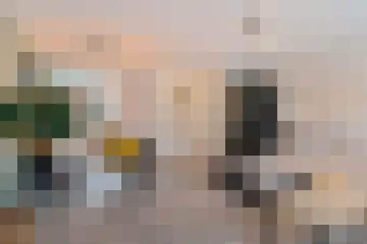 Ravelstraat 19 Capelle aan den IJssel thumbnail 12