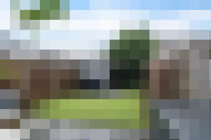 Ravelstraat 19 Capelle aan den IJssel thumbnail 17