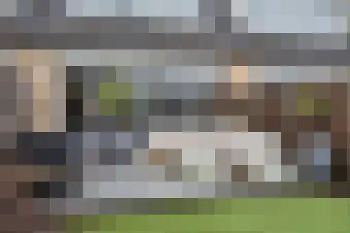 Ravelstraat 19 Capelle aan den IJssel thumbnail 19