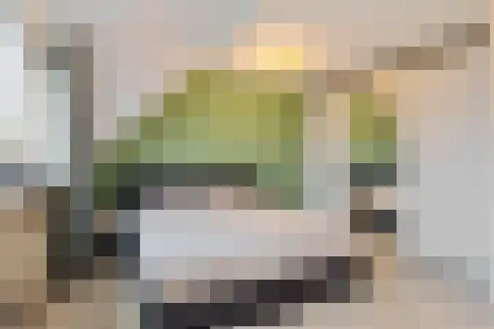 Ravelstraat 19 Capelle aan den IJssel thumbnail 25
