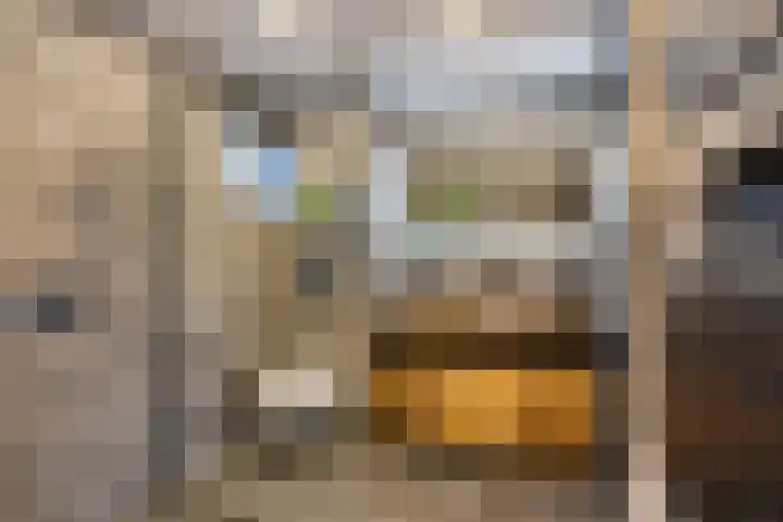 Ravelstraat 19 Capelle aan den IJssel thumbnail 30