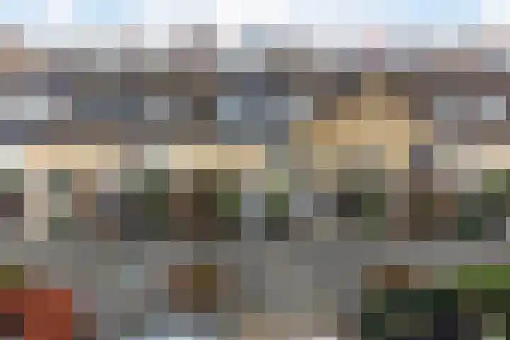 Ravelstraat 19 Capelle aan den IJssel thumbnail 5