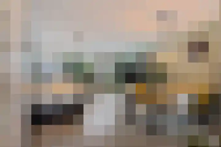 Ravelstraat 19 Capelle aan den IJssel thumbnail 9