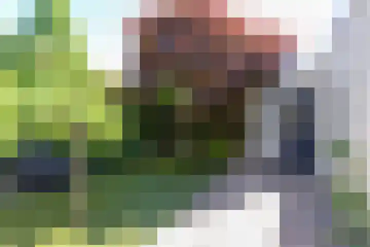 Ravelstraat 2 Geleen thumbnail 16