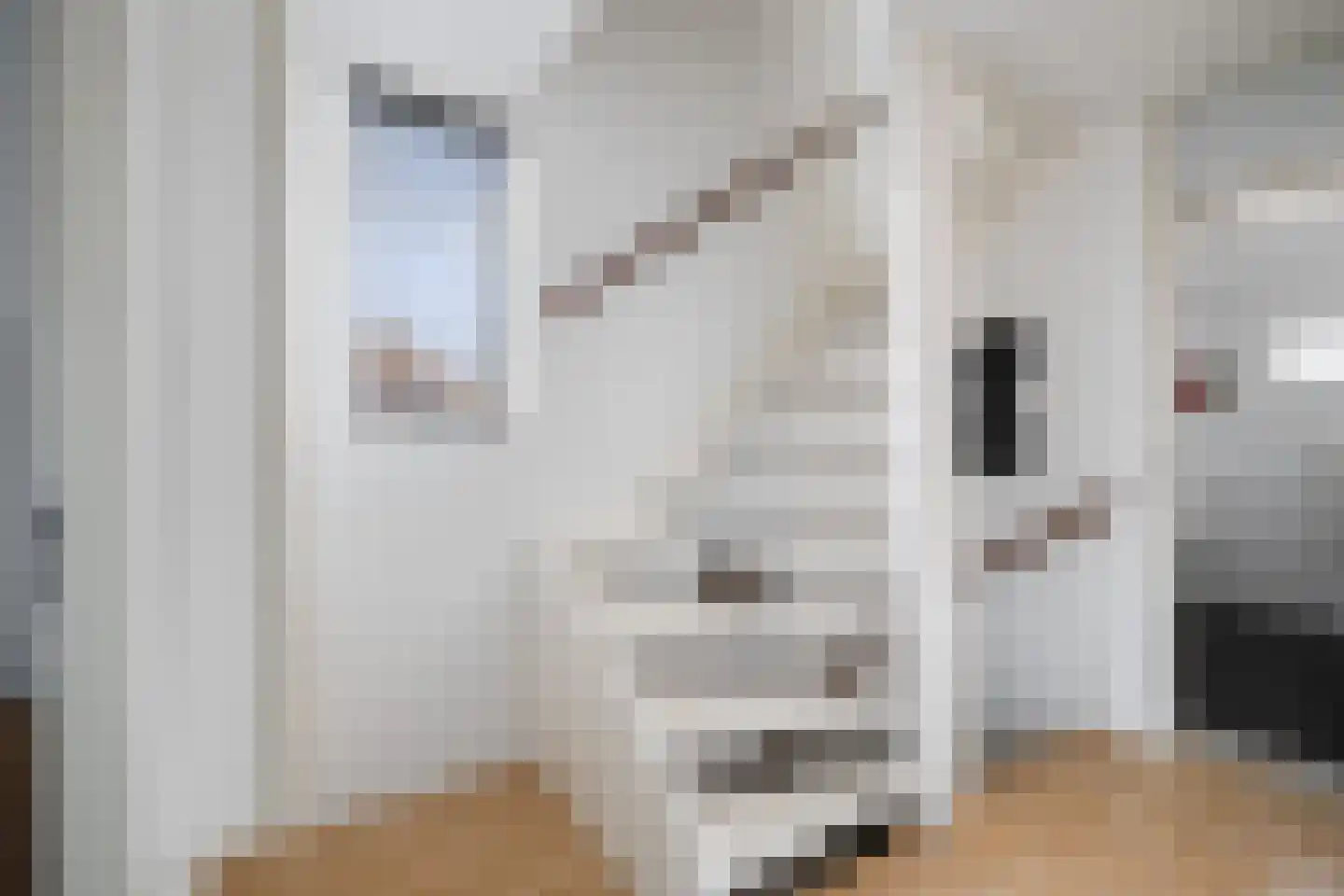 Ravelstraat 2 Twello thumbnail 15