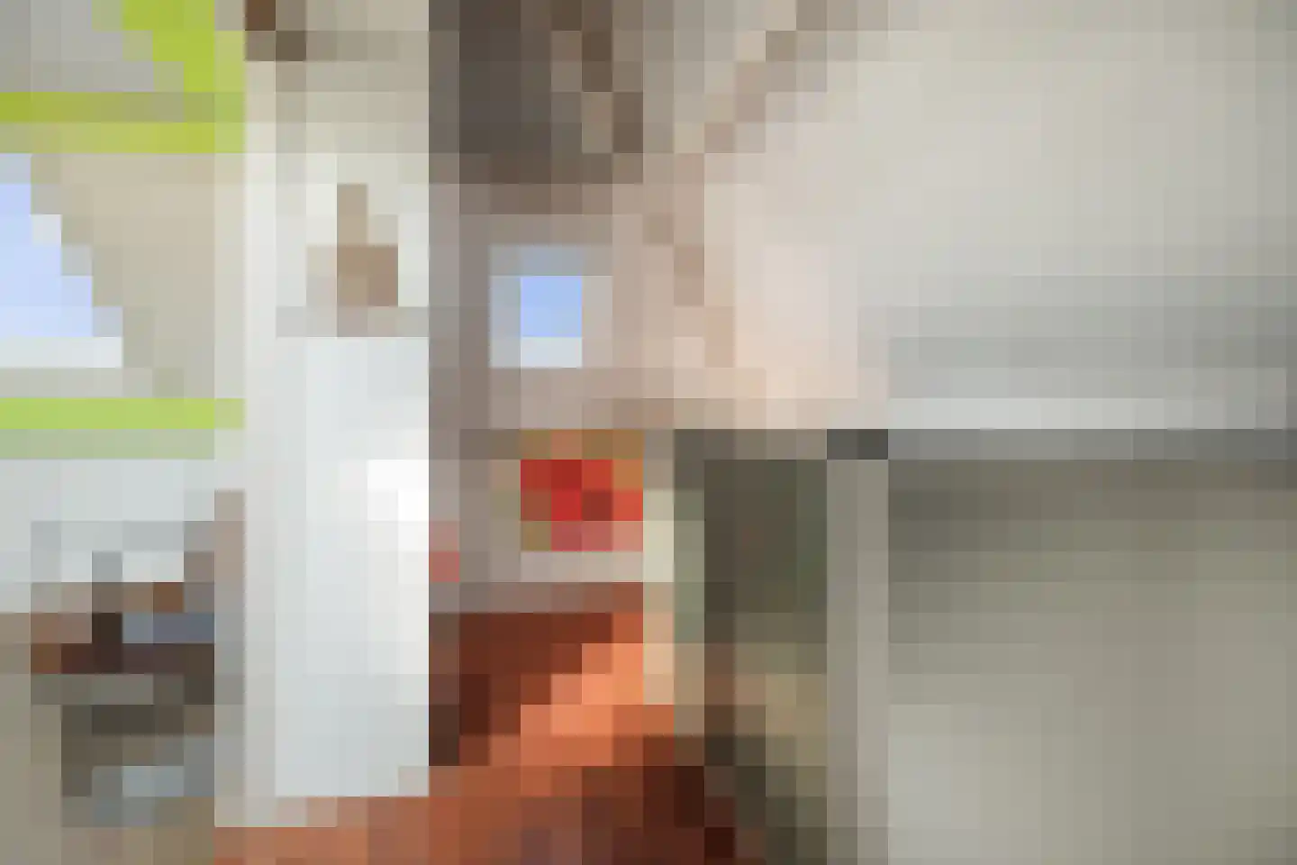 Ravelstraat 2 Twello thumbnail 26