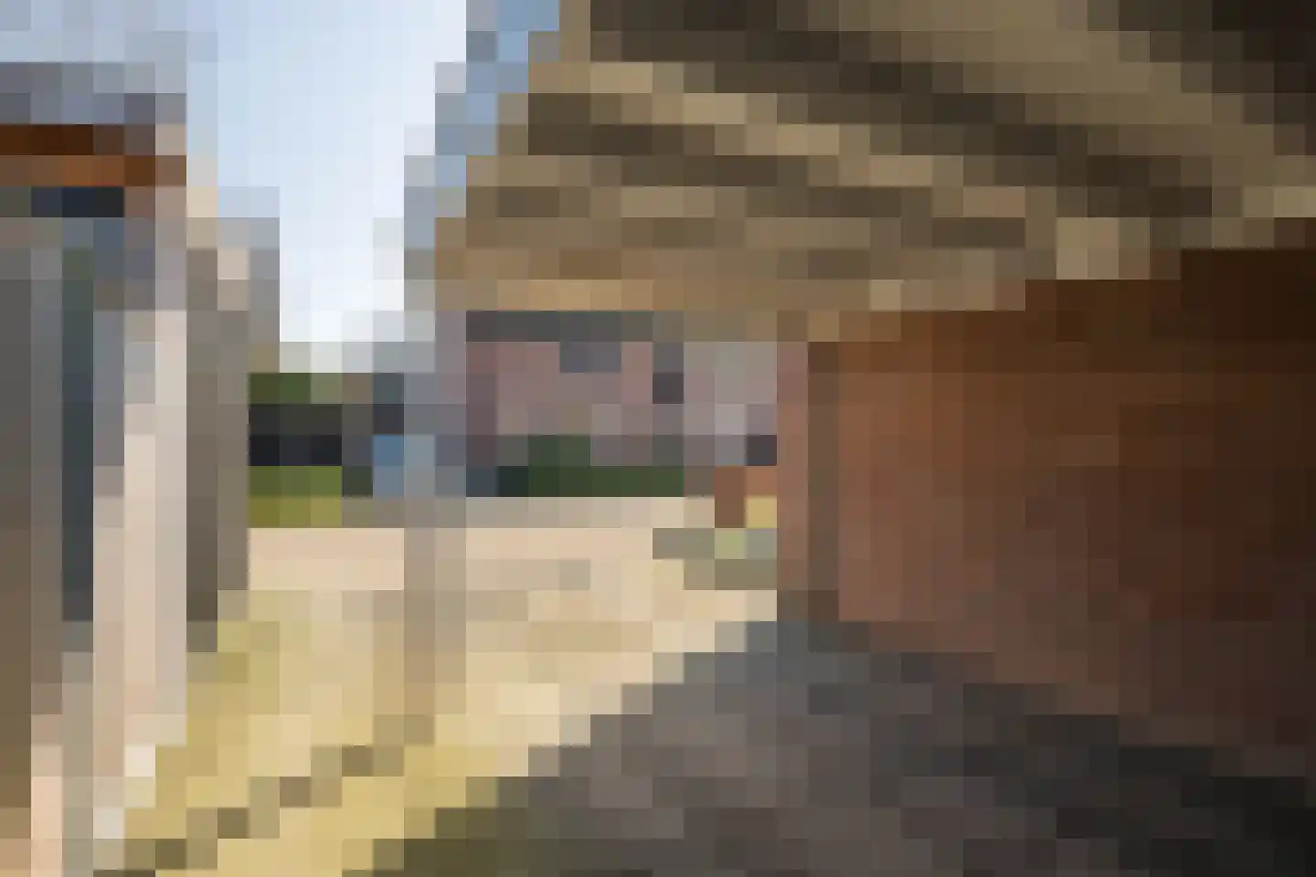 Ravelstraat 2 Twello thumbnail 31