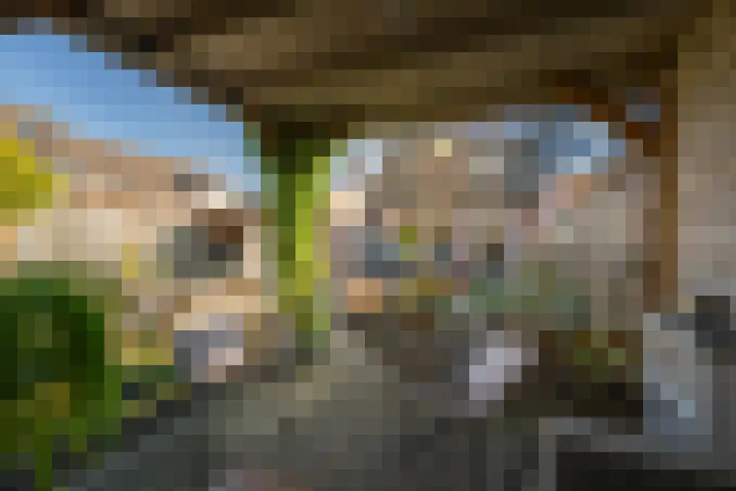 Ravelstraat 2 Twello thumbnail 34