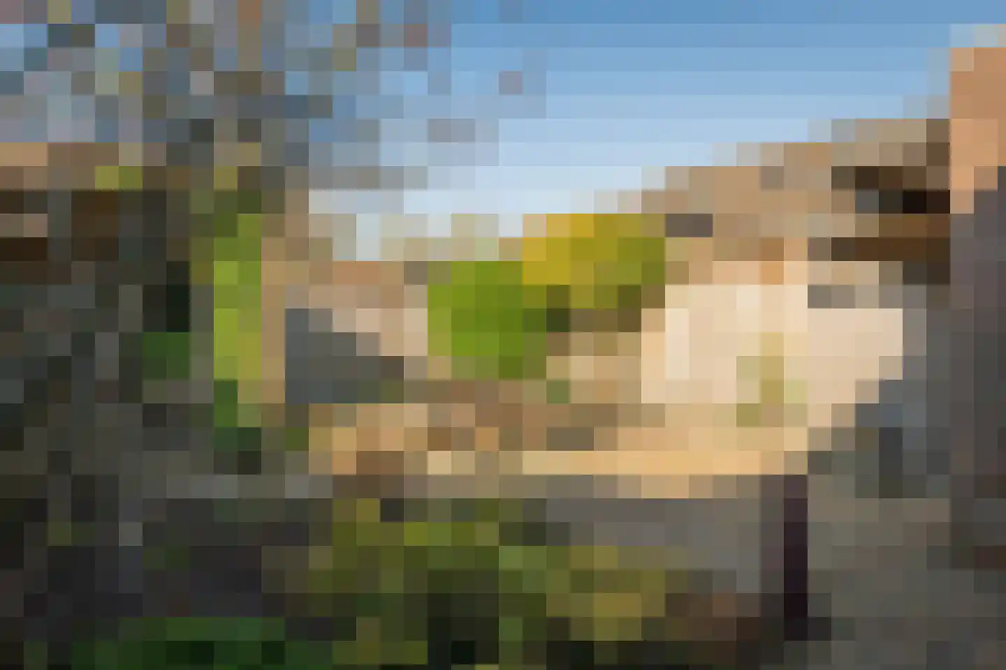 Ravelstraat 2 Twello thumbnail 36