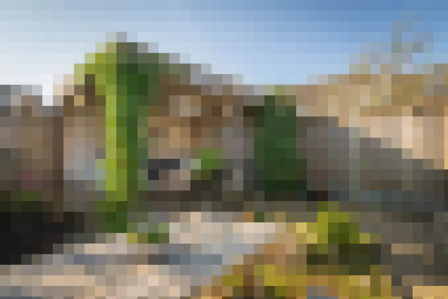 Ravelstraat 2 Twello thumbnail 38