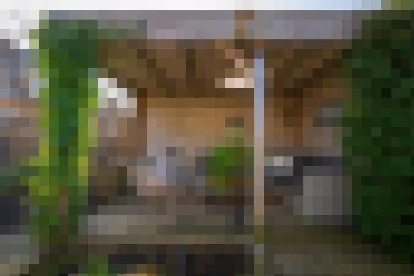 Ravelstraat 2 Twello thumbnail 39