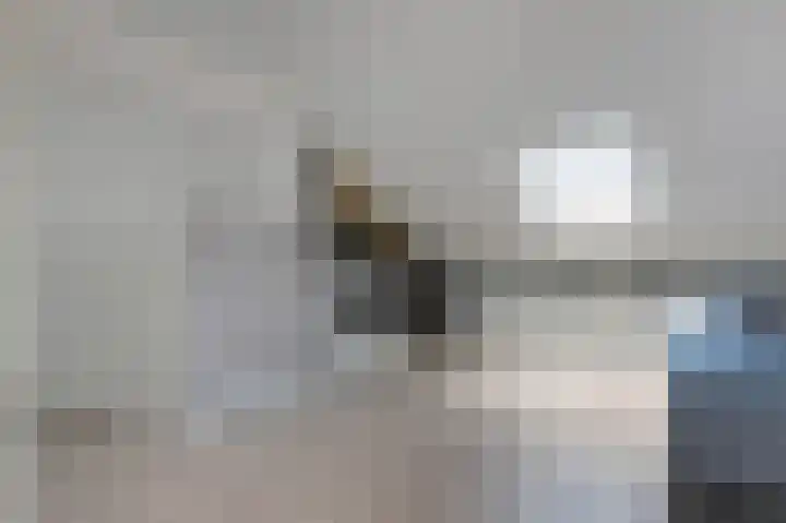 Ravelstraat 22 Nieuwegein thumbnail 30