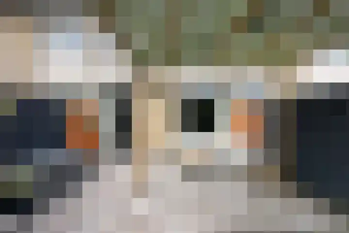 Ravelstraat 22 Nieuwegein thumbnail 33