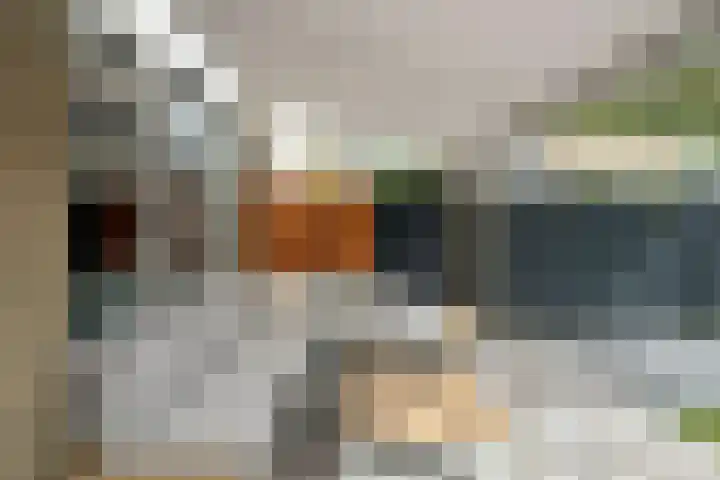 Ravelstraat 22 Nieuwegein thumbnail 35