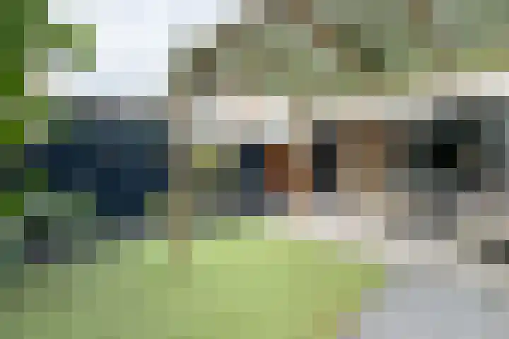 Ravelstraat 22 Nieuwegein thumbnail 37