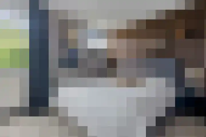 Ravelstraat 22 Nieuwegein thumbnail 4