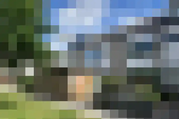 Ravelstraat 22 Nieuwegein thumbnail 7