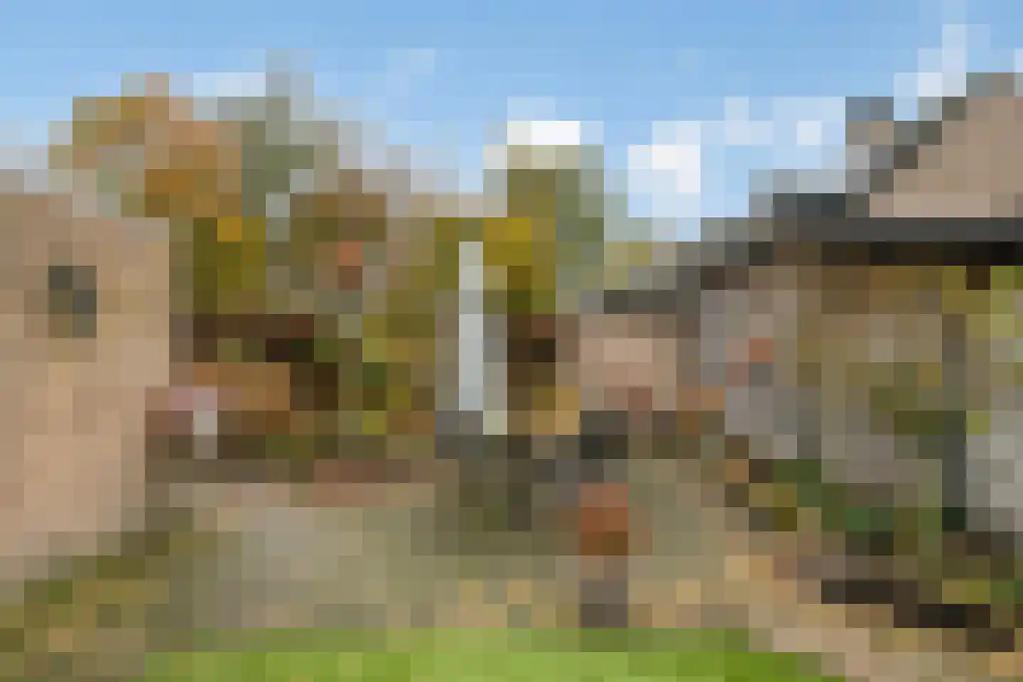 Ravelstraat 25 Sint-Oedenrode thumbnail 33