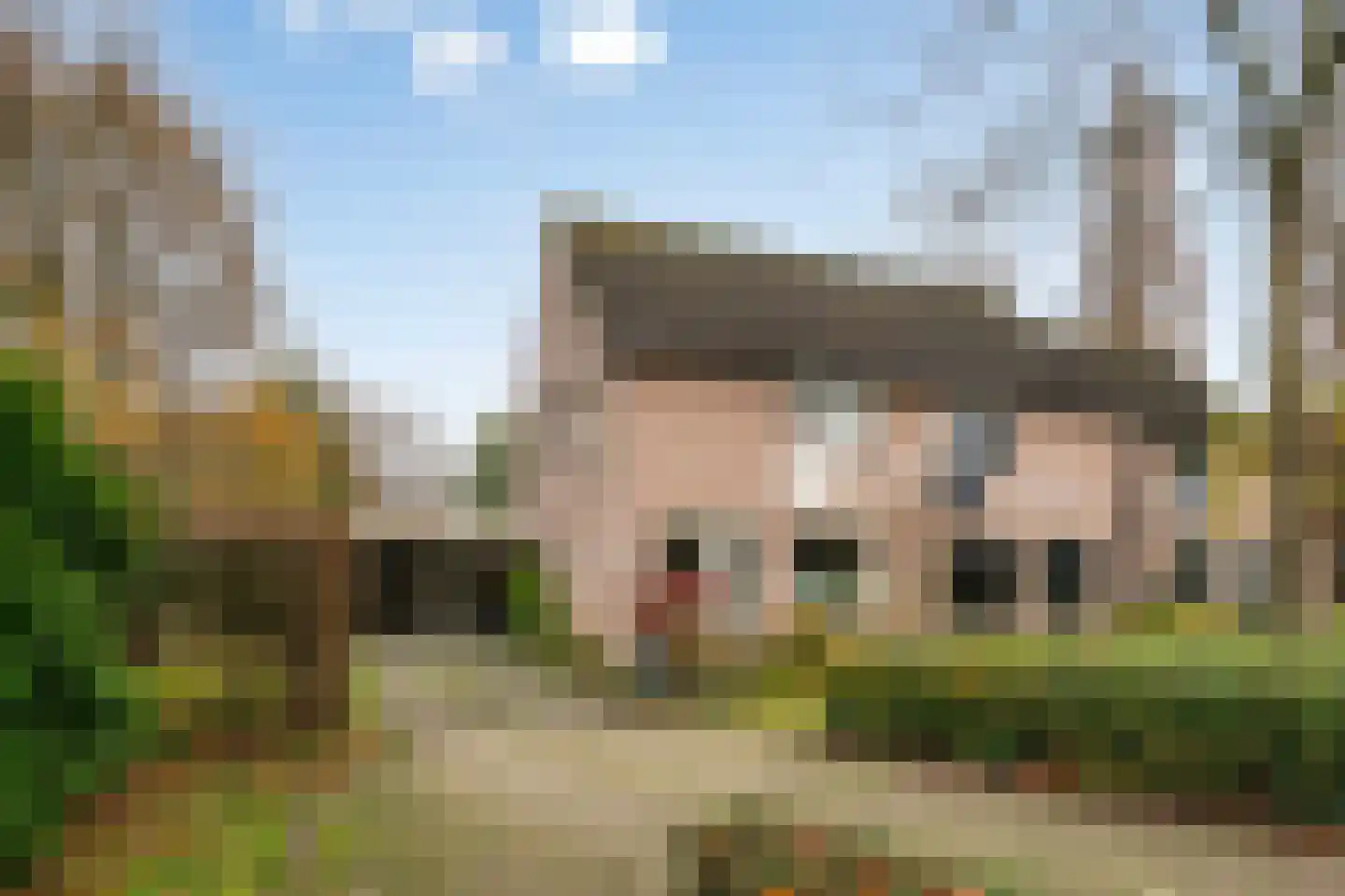 Ravelstraat 25 Sint-Oedenrode thumbnail 38