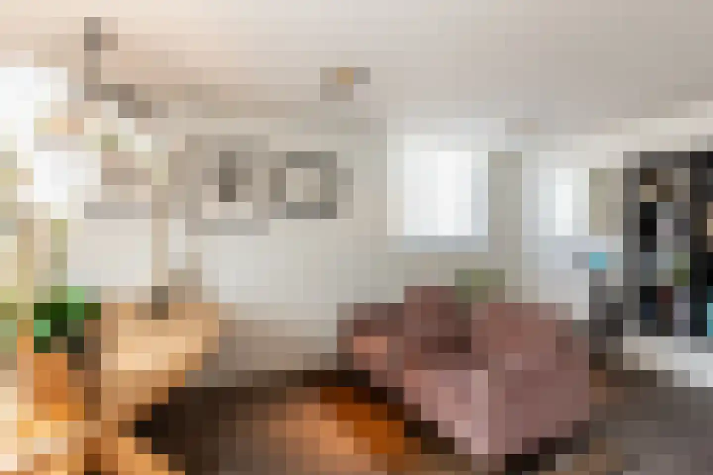 Ravelstraat 26 Rhoon thumbnail 15