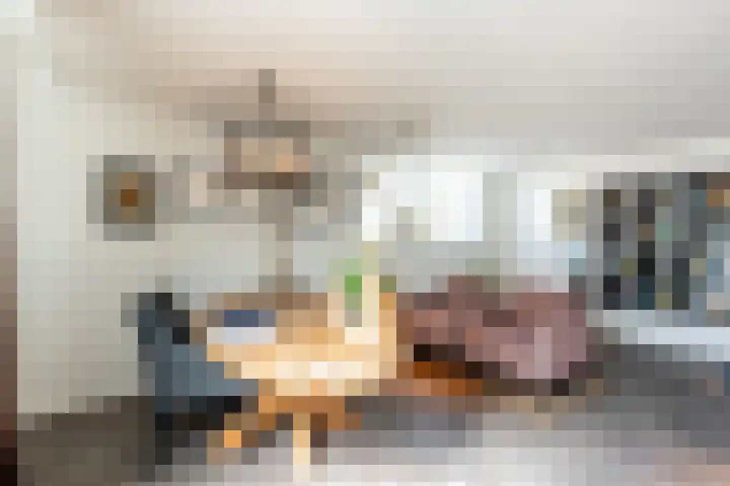 Ravelstraat 26 Rhoon thumbnail 4