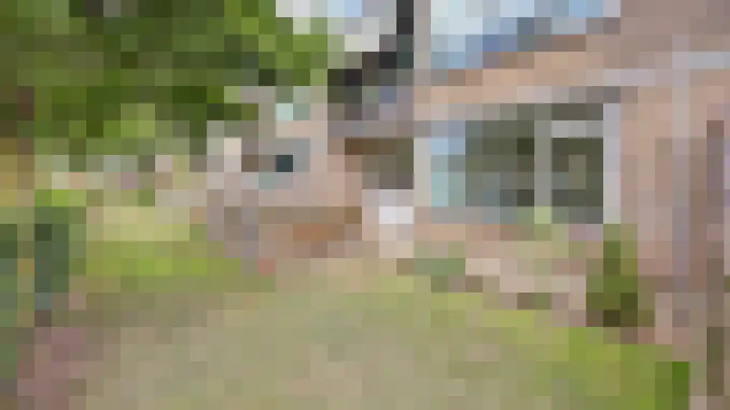 Ravelstraat 30 Almelo thumbnail 7