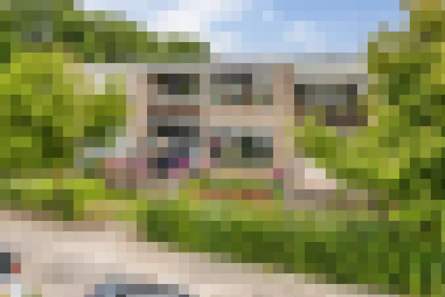 Ravelstraat 38 Almelo thumbnail 26