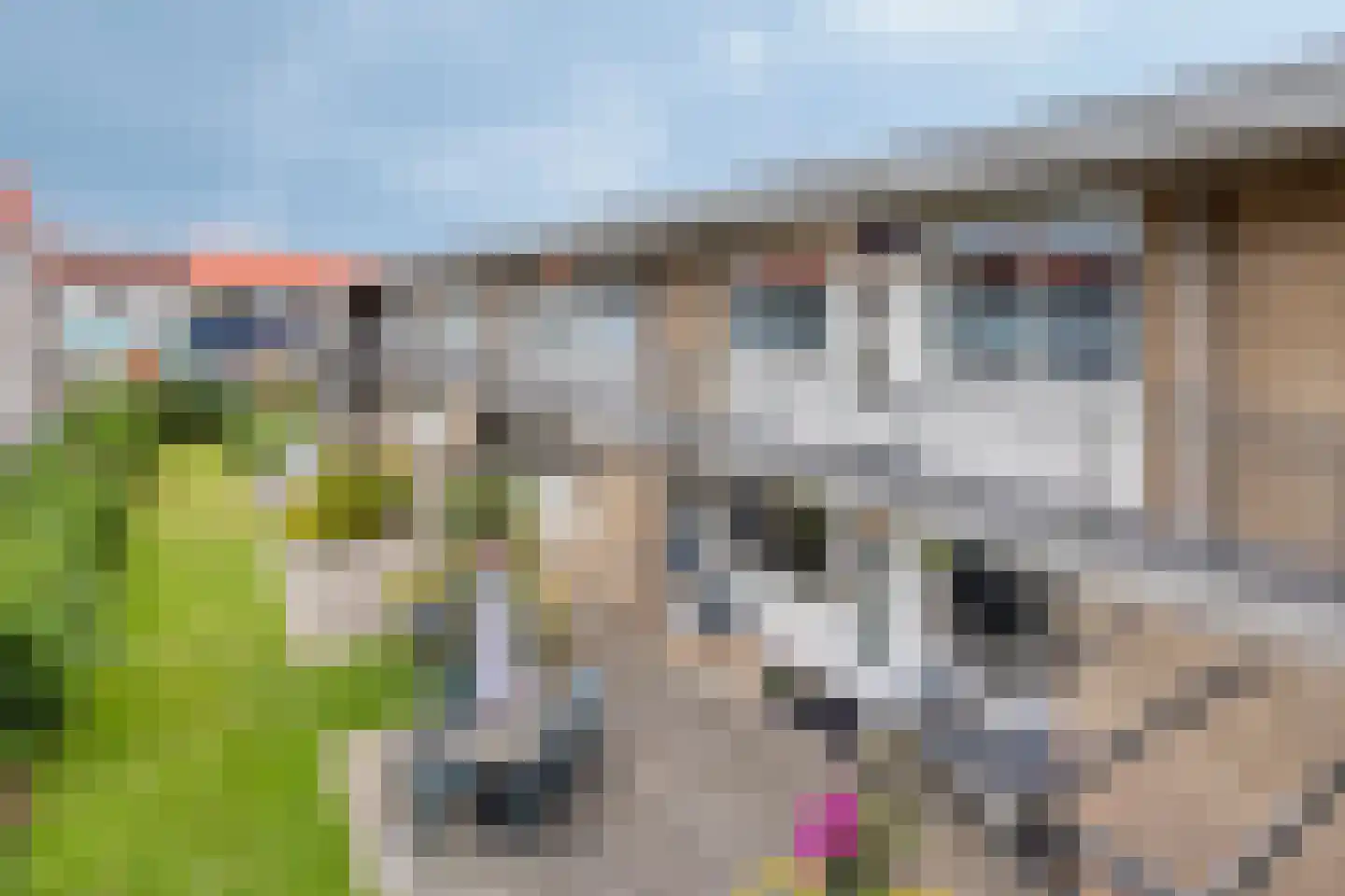 Ravelstraat 38 Almelo thumbnail 4