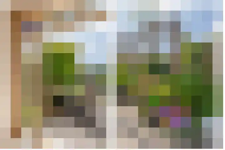 Ravelstraat 38 Lisse thumbnail 30