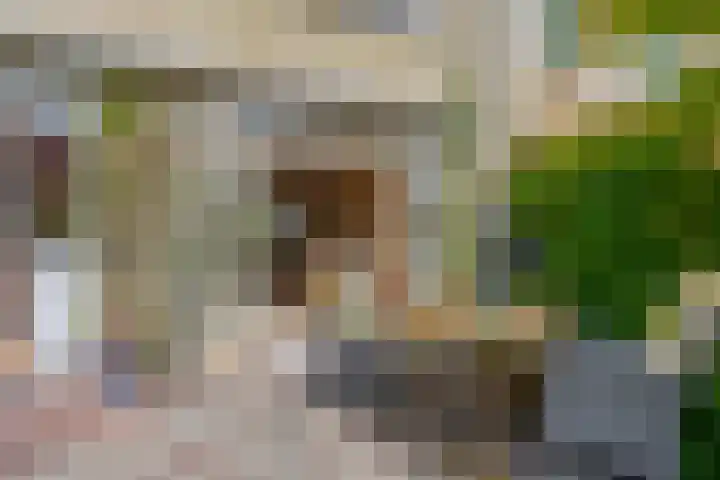 Ravelstraat 38 Lisse thumbnail 31