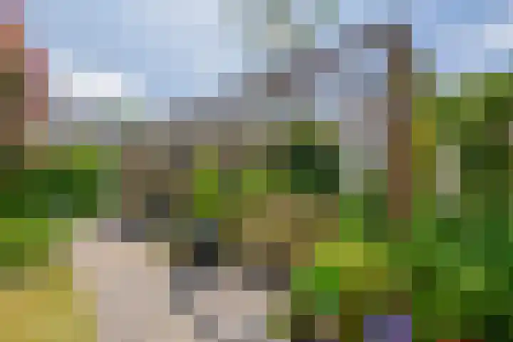 Ravelstraat 38 Lisse thumbnail 33