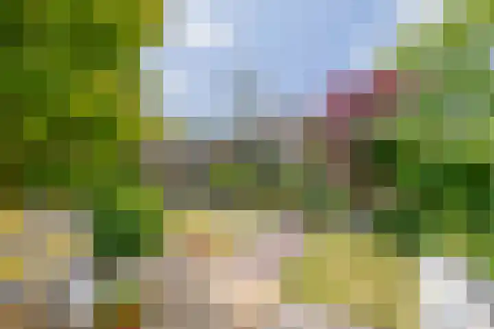 Ravelstraat 38 Lisse thumbnail 34