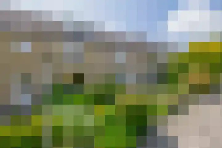 Ravelstraat 38 Lisse thumbnail 35