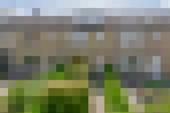Ravelstraat 38 Lisse thumbnail 36