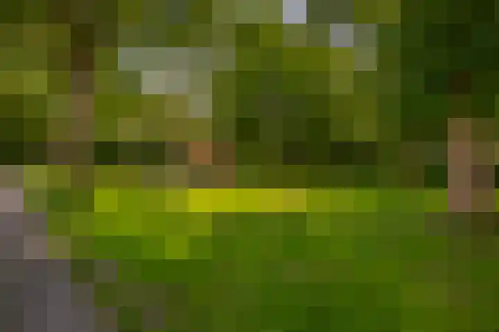 Ravelstraat 38 Lisse thumbnail 38